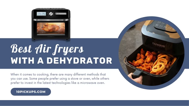 9 Best Air fryers with A Dehydrator to Purchase in 2022